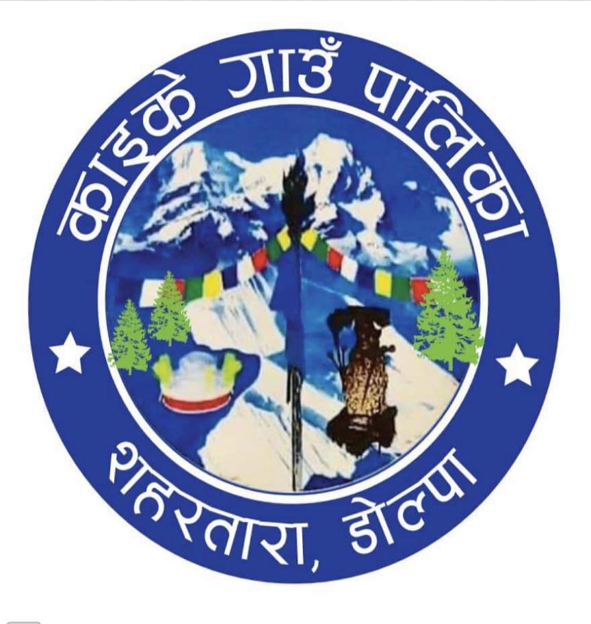 Local Government Logo